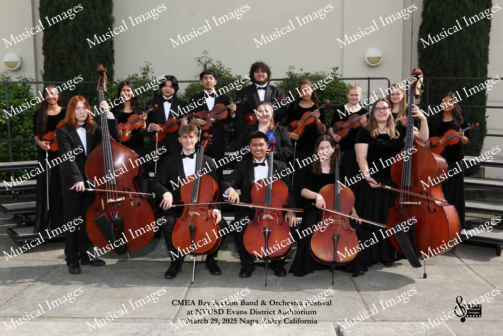 Musical Images
